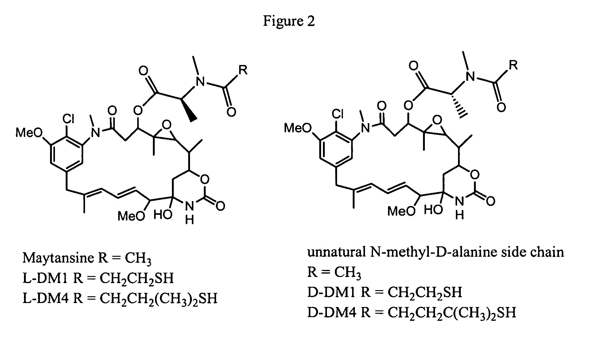 Process for preparation of maytansinol