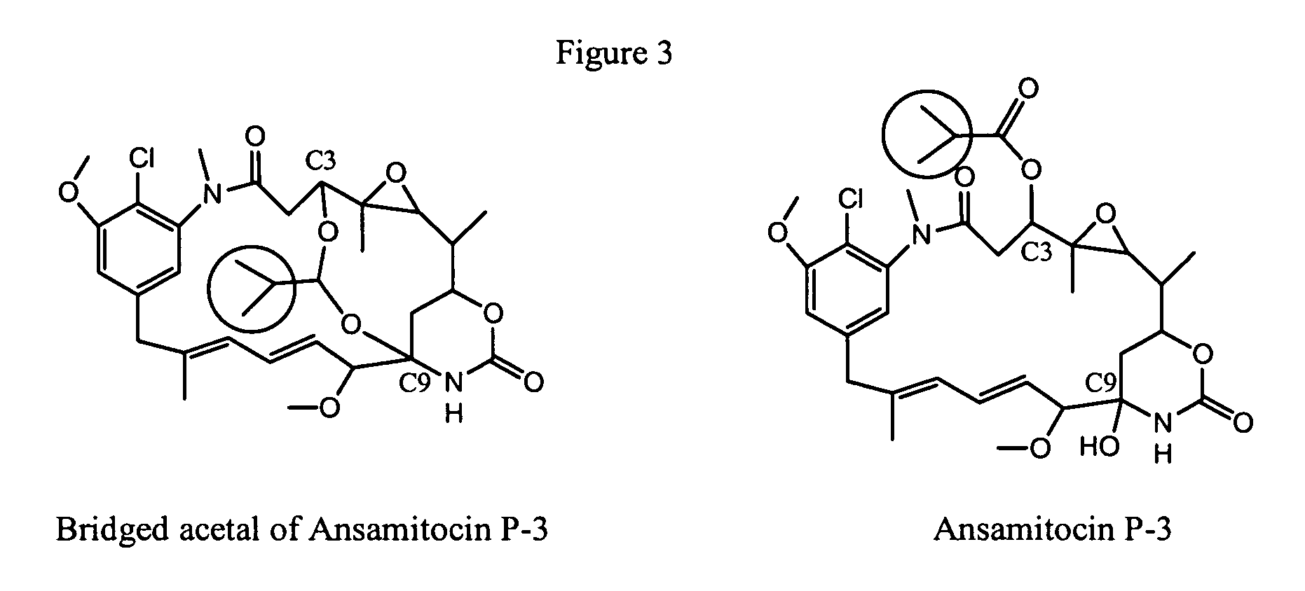 Process for preparation of maytansinol