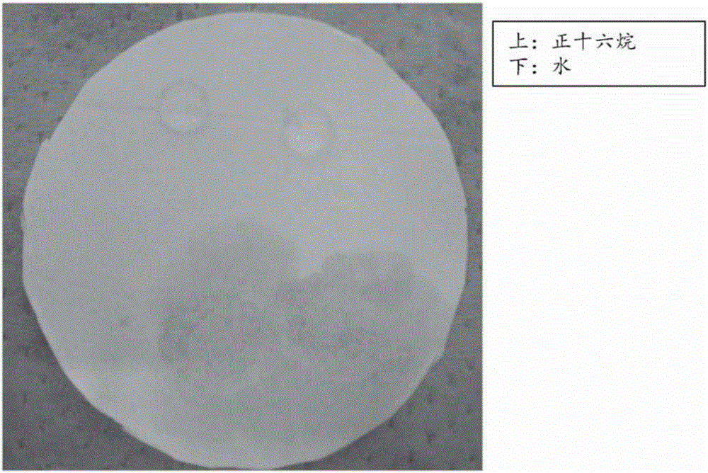 Filter medium, method for producing filter medium, water treatment module, and water treatment device