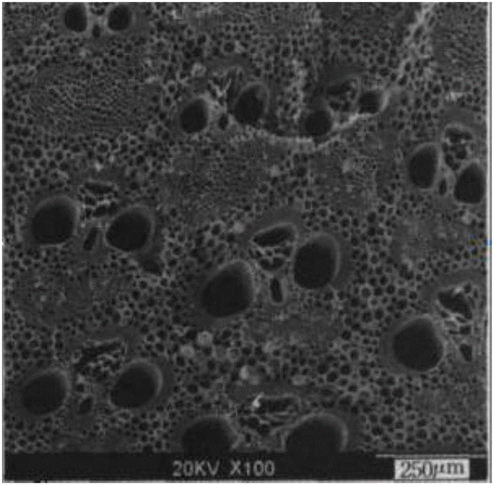 Composite type activated carbon and application thereof in purifying tacrolimus