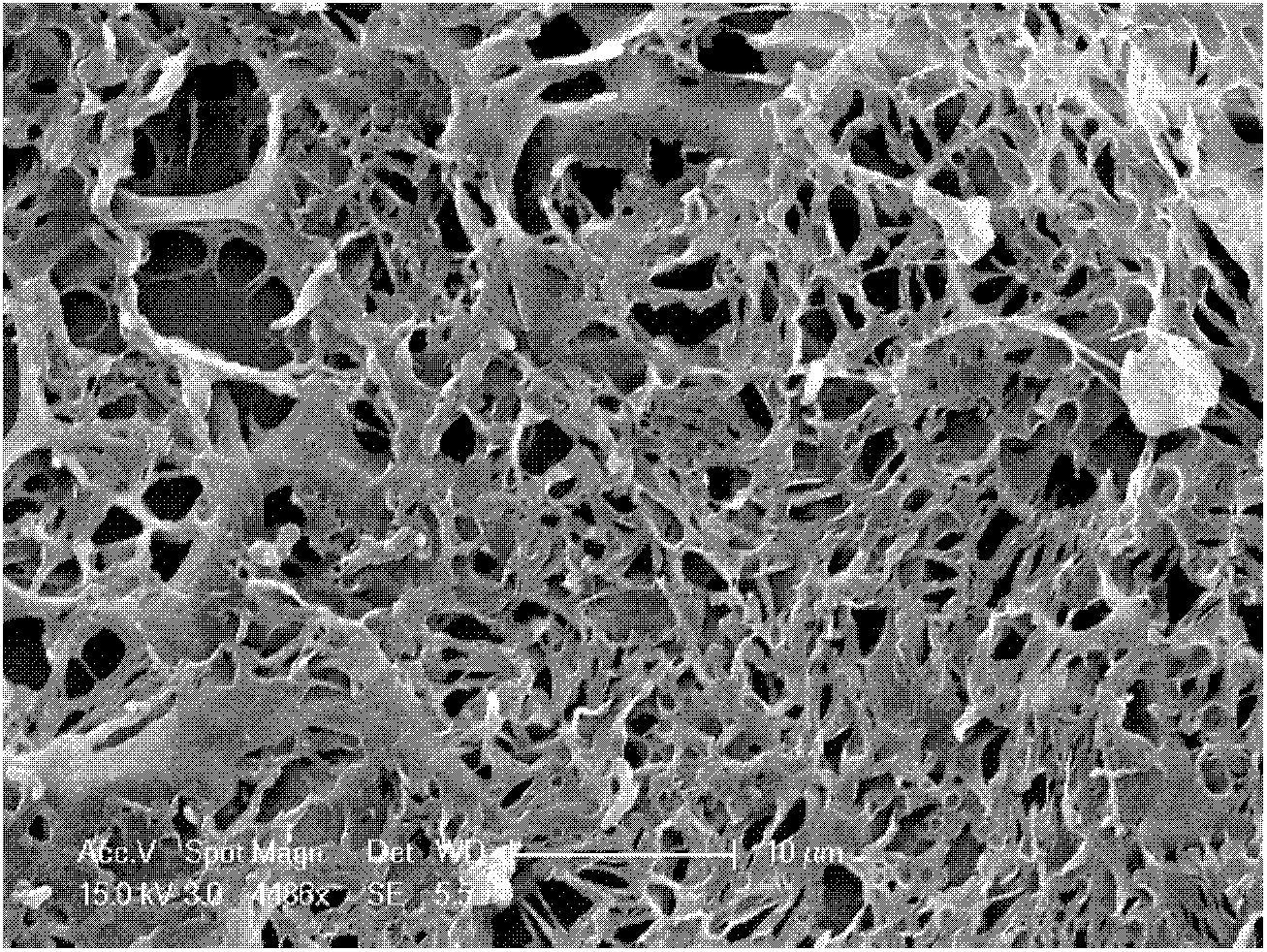 Graphene polyaniline composite and preparation method thereof, and lithium ion battery