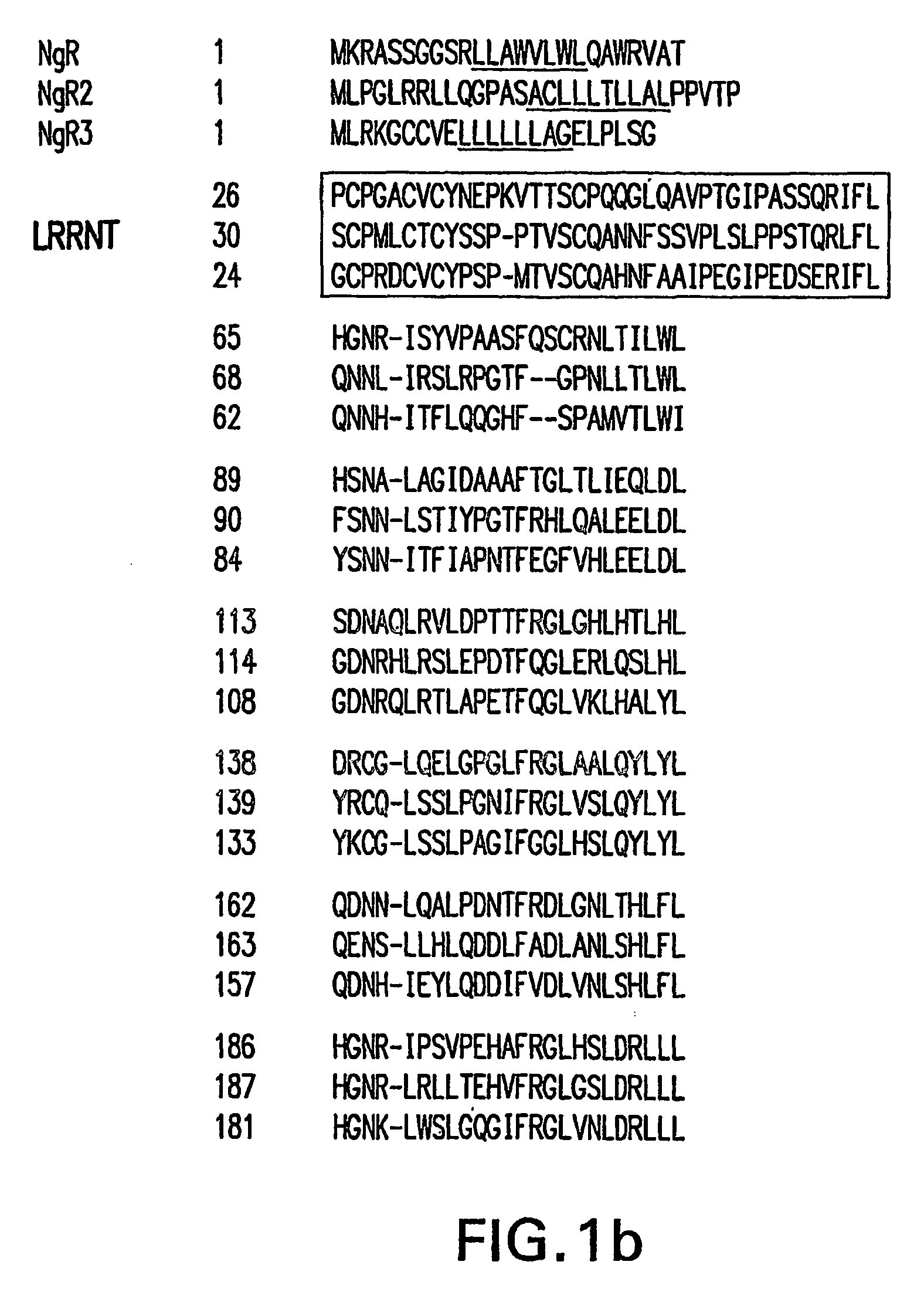 Identification of novel nogo-receptors and methods related thereto