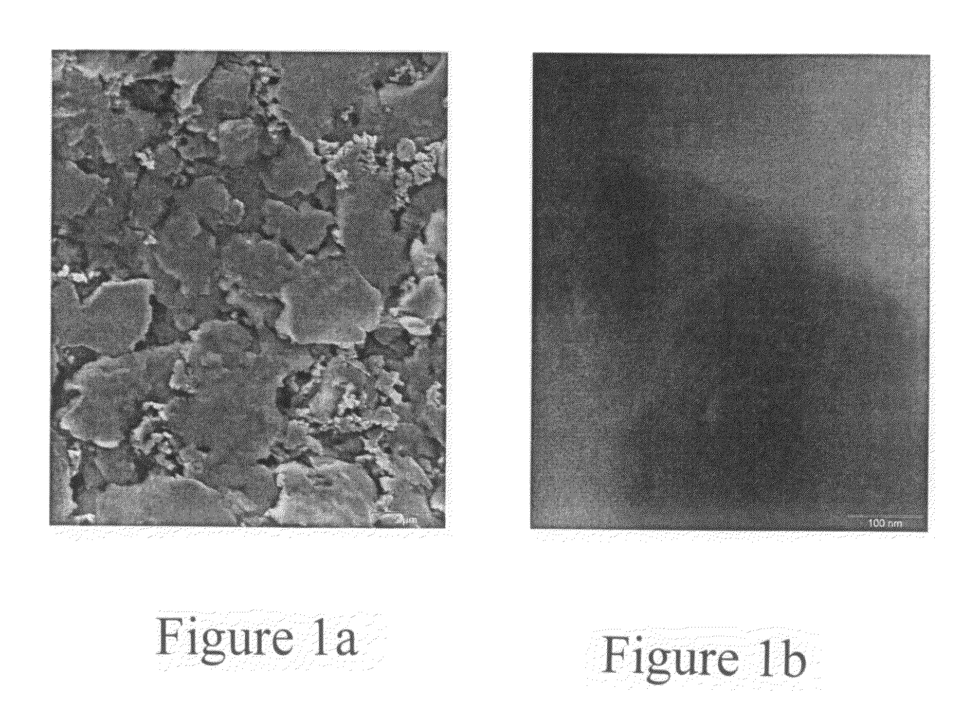 Carbon nanotubes-reinforced conductive silver ink