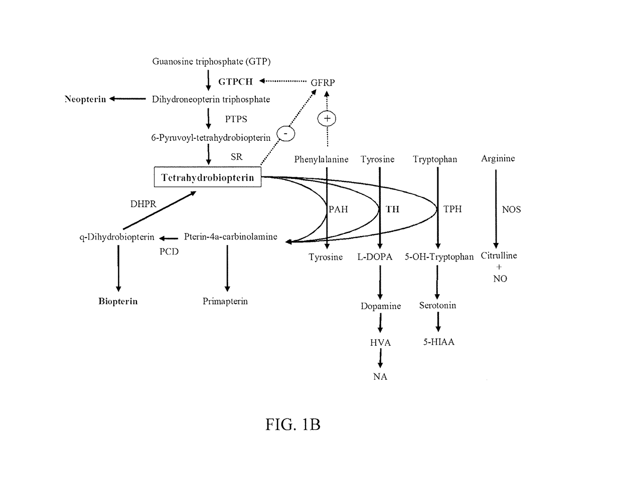 System and method for diagnosis and treatment of neuropsychiatric disorders