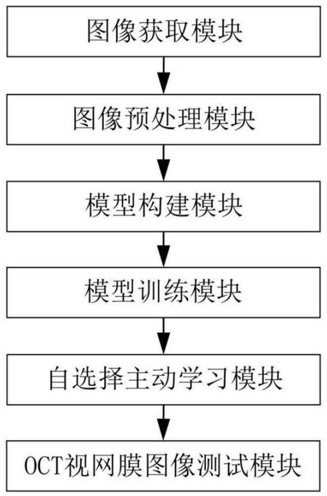 OCT retina image field adaptive segmentation method and system