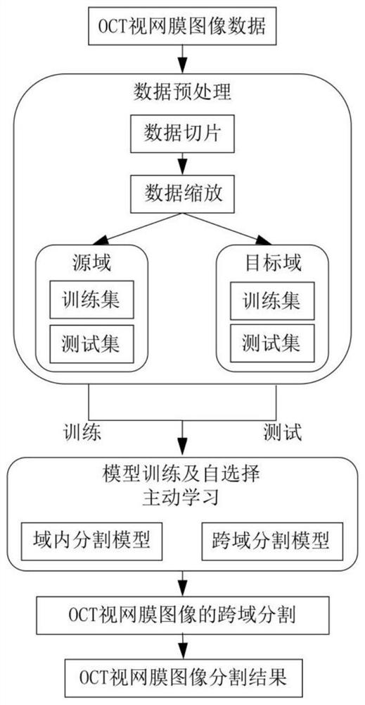 OCT retina image field adaptive segmentation method and system