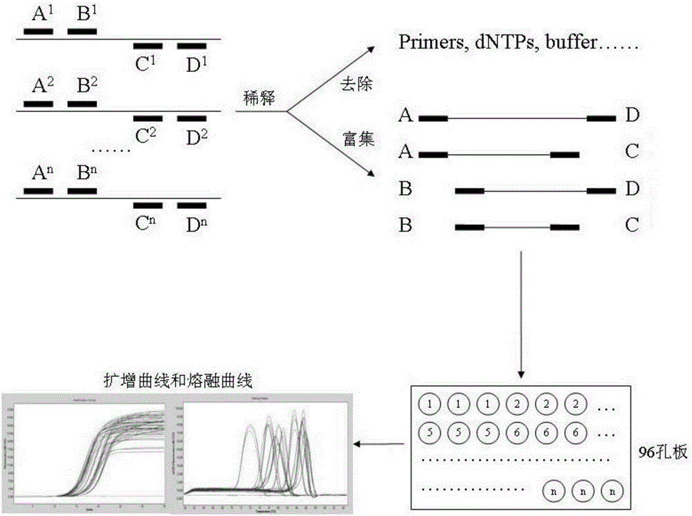 Method for high-pass multi-enrichment quantitative PCR (ME-qPCR) detection of transgenic crop element and strain