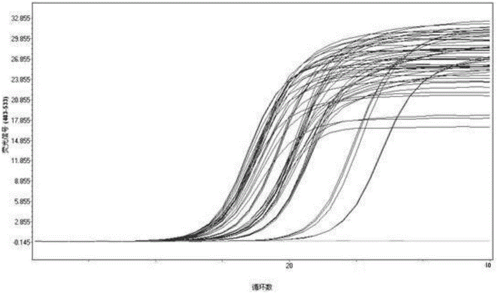 Method for high-pass multi-enrichment quantitative PCR (ME-qPCR) detection of transgenic crop element and strain