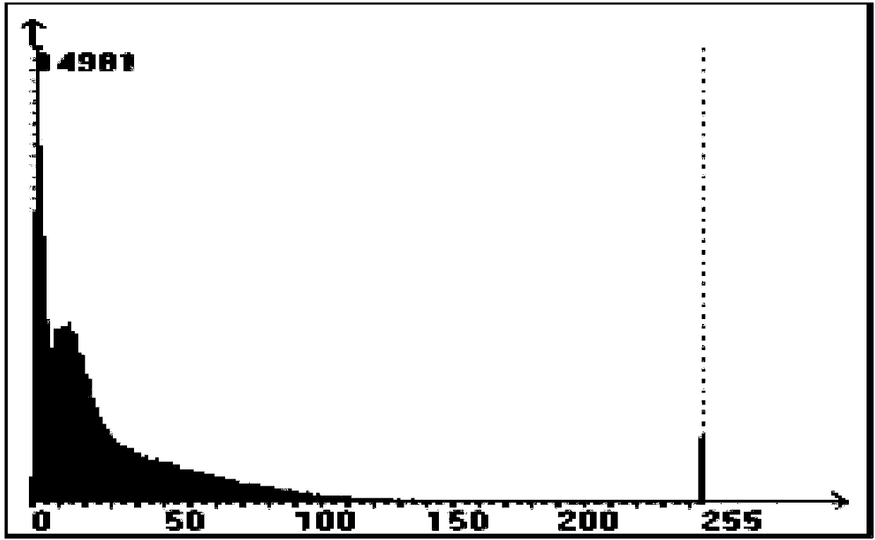 A Sonar Image Data Compression Method Based on Improved ezw