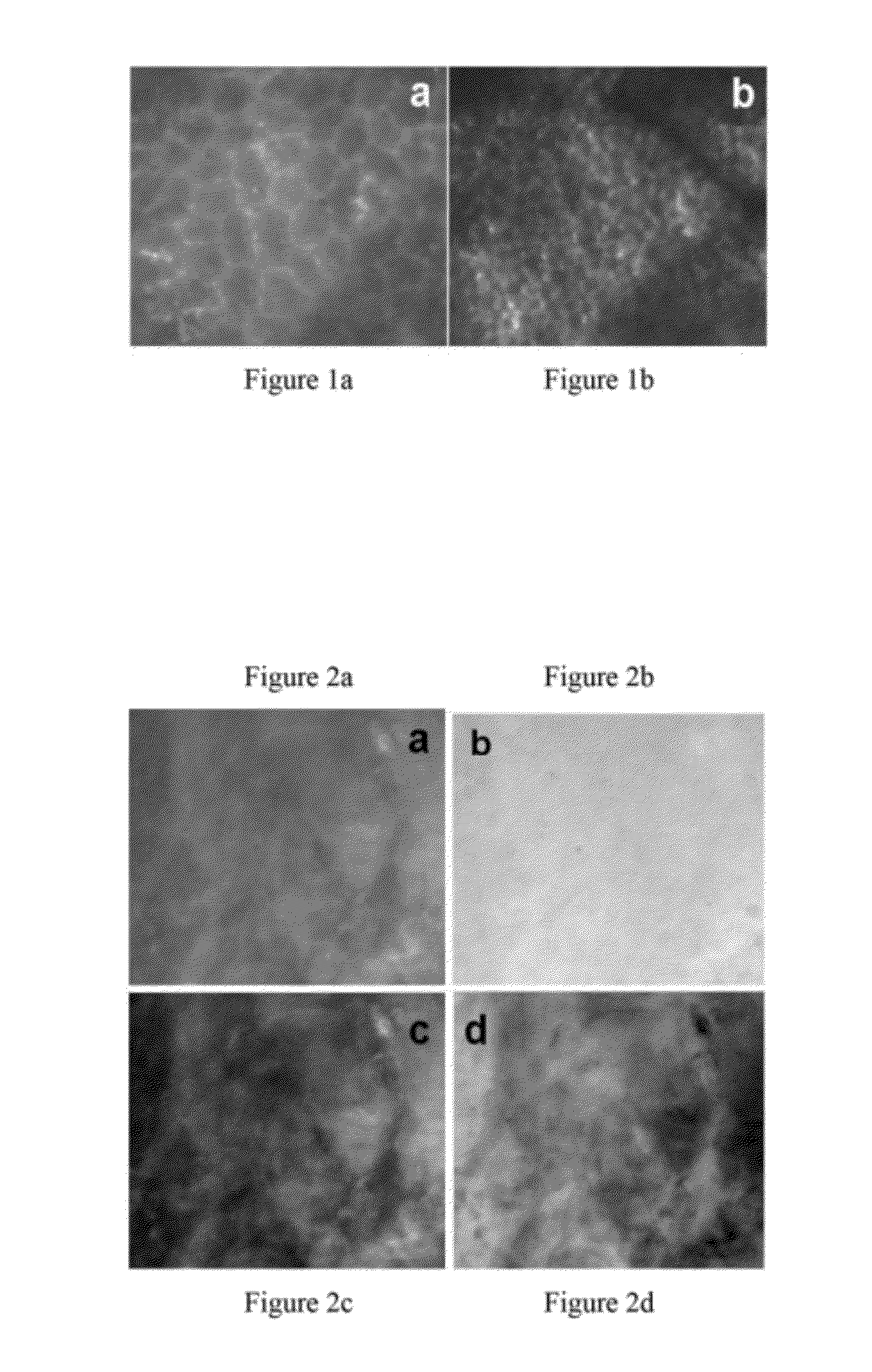 In vivo spectral micro-imaging of tissue