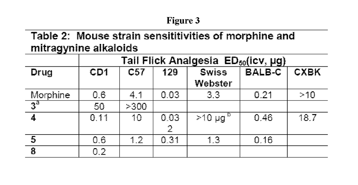 Mitragynine analogs and uses thereof