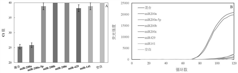 miRNA detection kit based on sulfo-modified loop-mediated isothermal amplification method