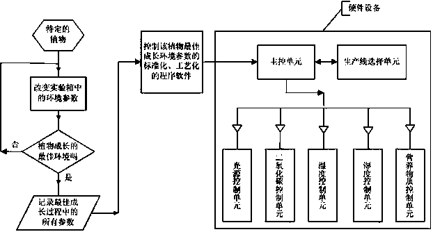 Production-line type plant factory implementation method based on plant growth characteristics and rhythm