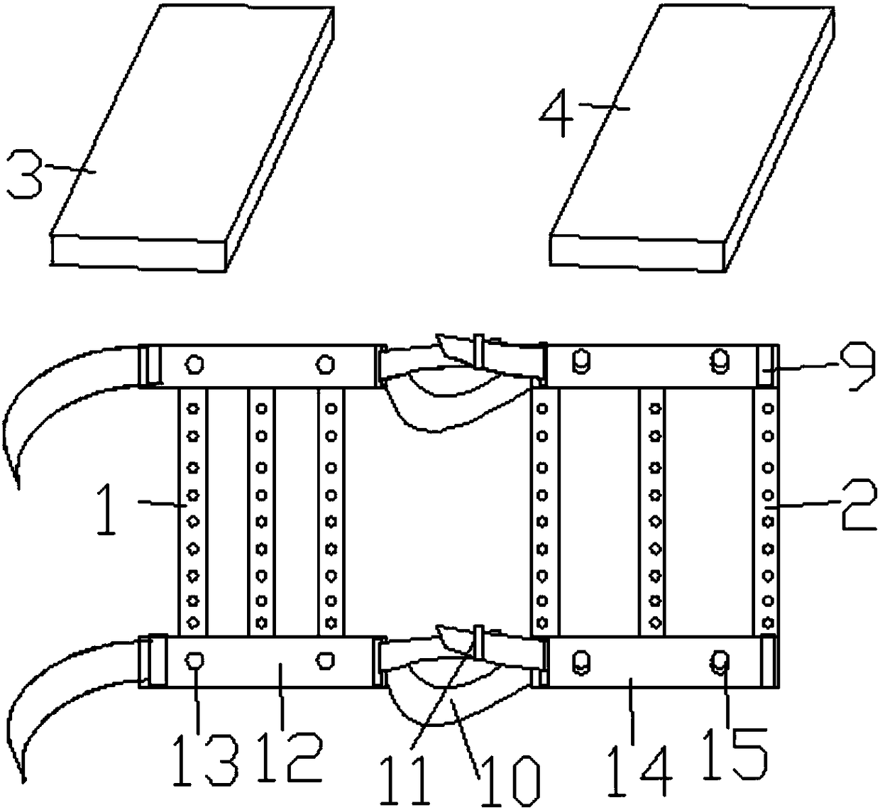 Plant specimen holder, specimen cabinet for fixing specimen holder, and fixing method for specimen holder