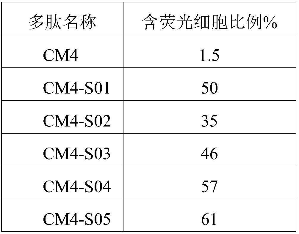 Polypeptide or derivatives thereof and application of polypeptide or derivatives thereof in preparation of medicines for preventing and treating tumors