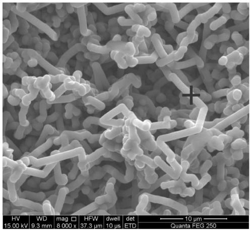 Ceramic fiber toughened CVD silicon carbide (SiC) composite and preparation method and application thereof