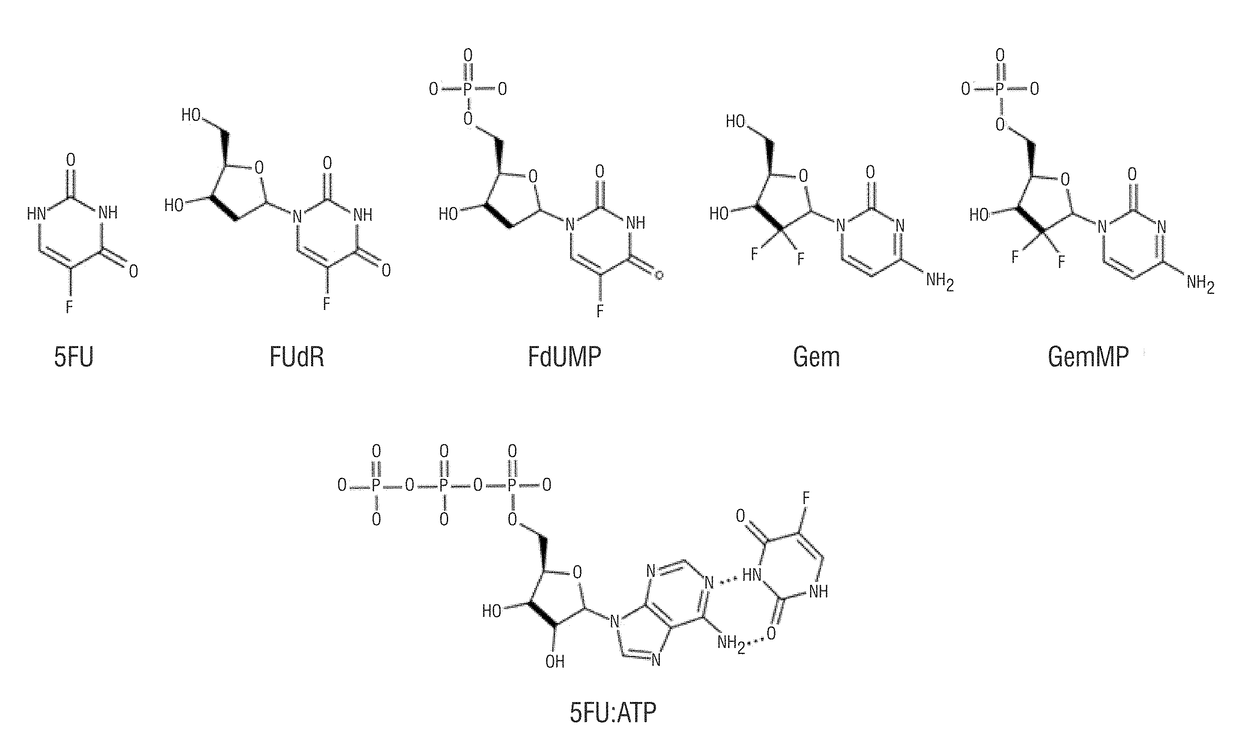 Encapsulation and high loading efficiency of phosphorylated drug and imaging agents in nanoparticles