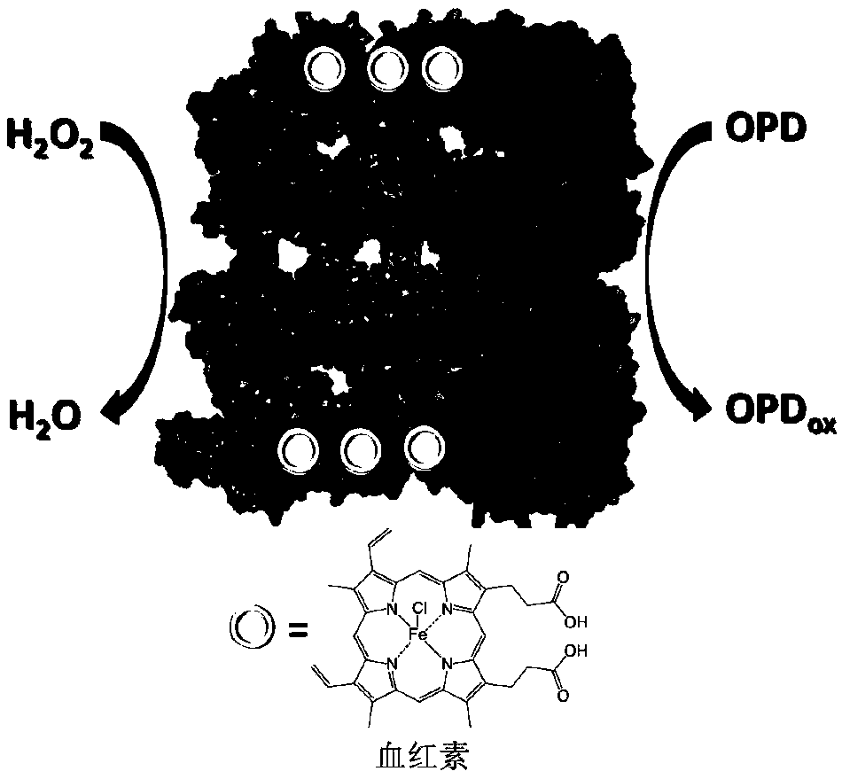 Heme-GroEL complex as well as preparation method and application thereof