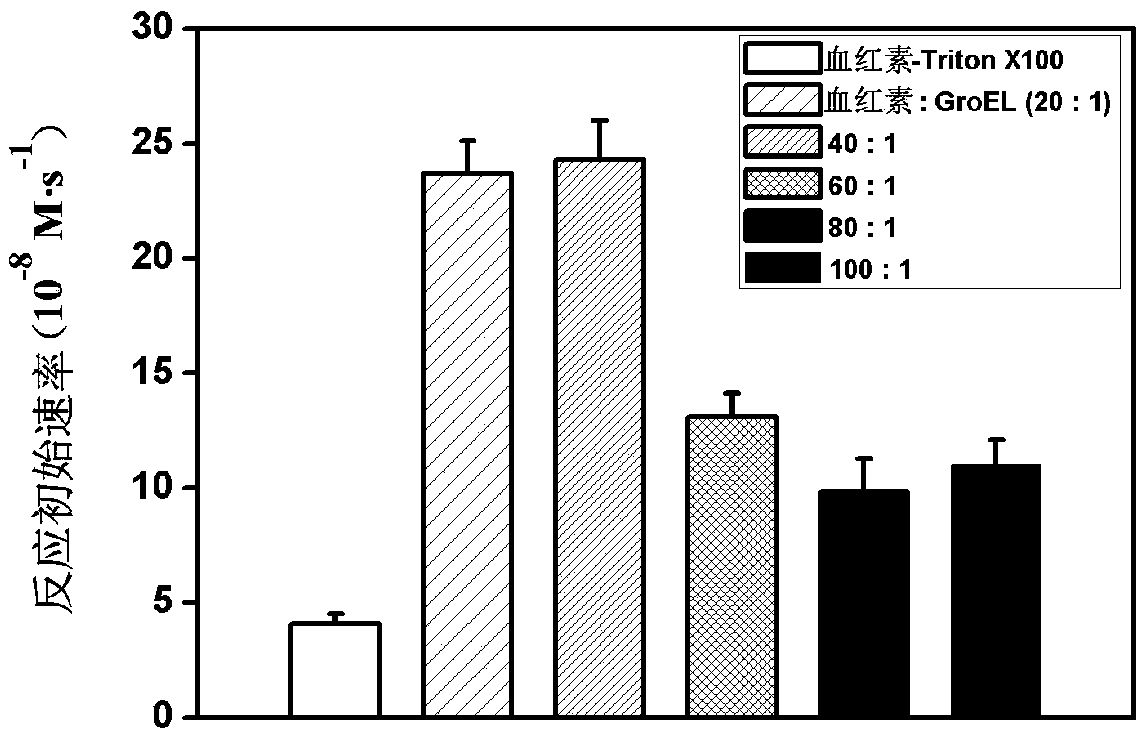 Heme-GroEL complex as well as preparation method and application thereof