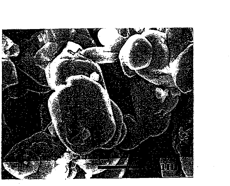 [beta]-sialon phosphor powder and process for production of the same