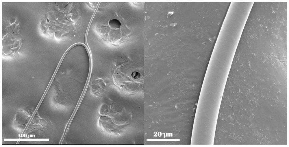 Preparation method of alkaline-earth metal reinforced continuous aluminum silicate ceramic fiber