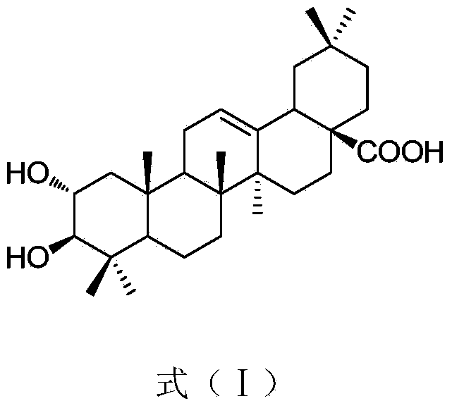 Preparation method of maslinic acid and application of maslinic acid in preparation of antibacterial agent