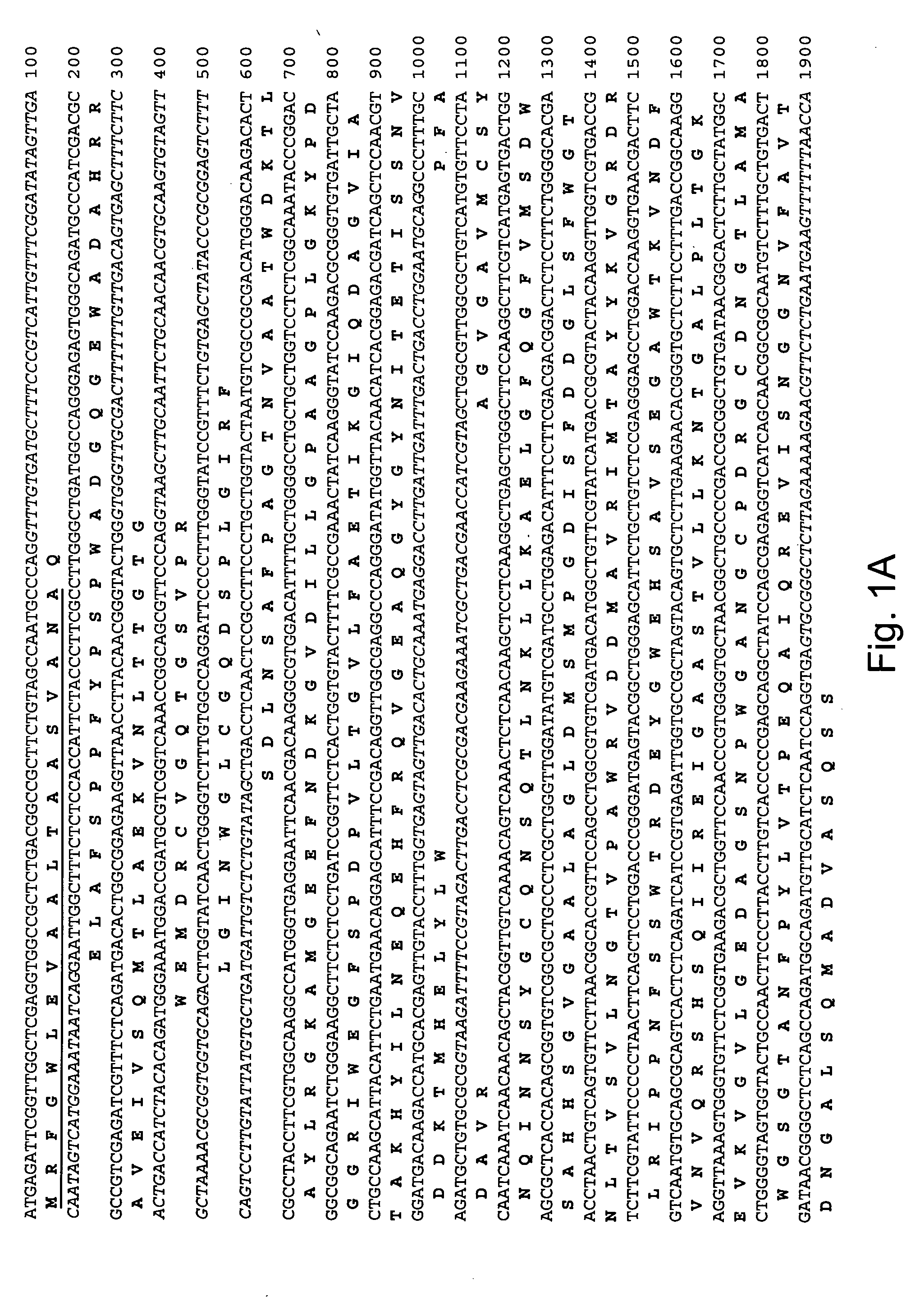 Polypeptides having beta-glucosidase activity and polynucleotides encoding same