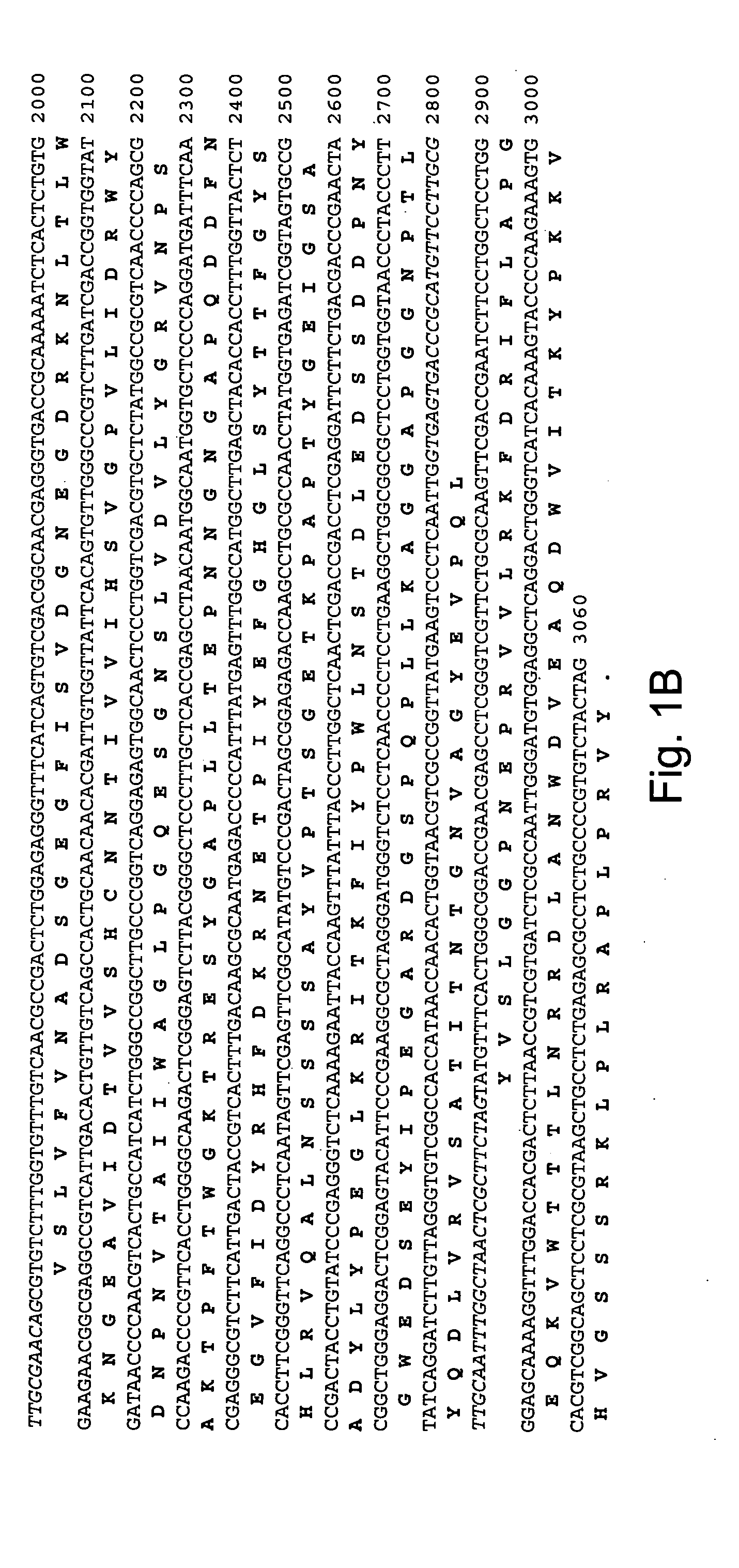 Polypeptides having beta-glucosidase activity and polynucleotides encoding same