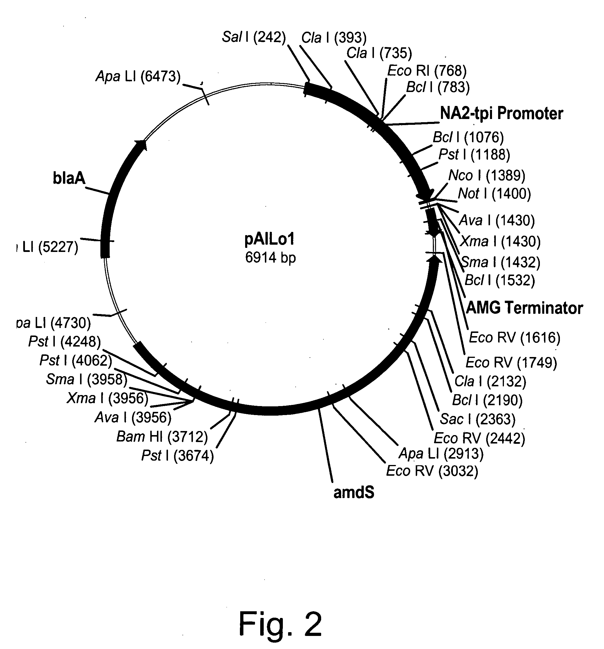 Polypeptides having beta-glucosidase activity and polynucleotides encoding same