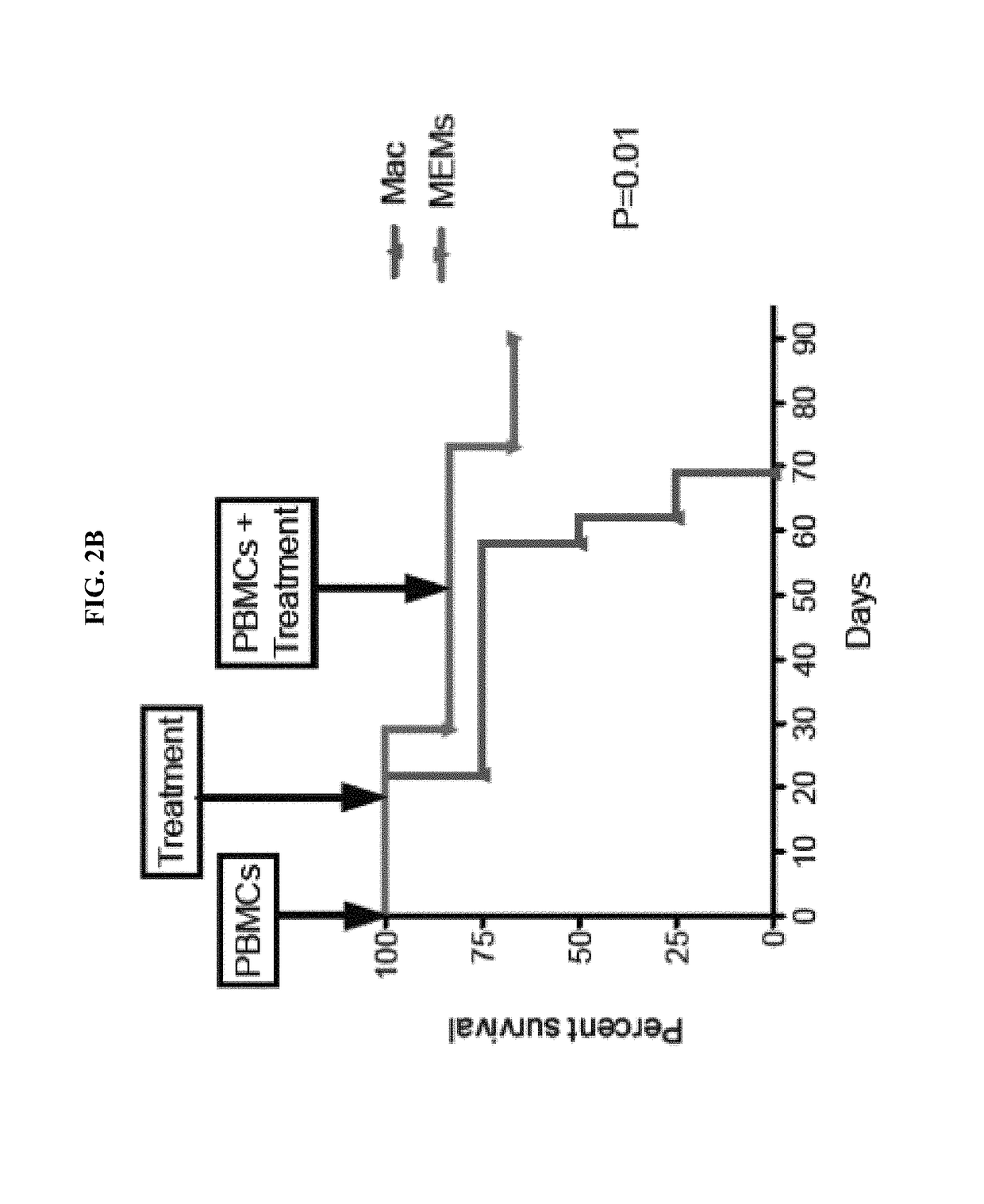 Use of mesenchymal stem cell-educated macrophages to treat and prevent graft versus host disease and radiation-induced injury