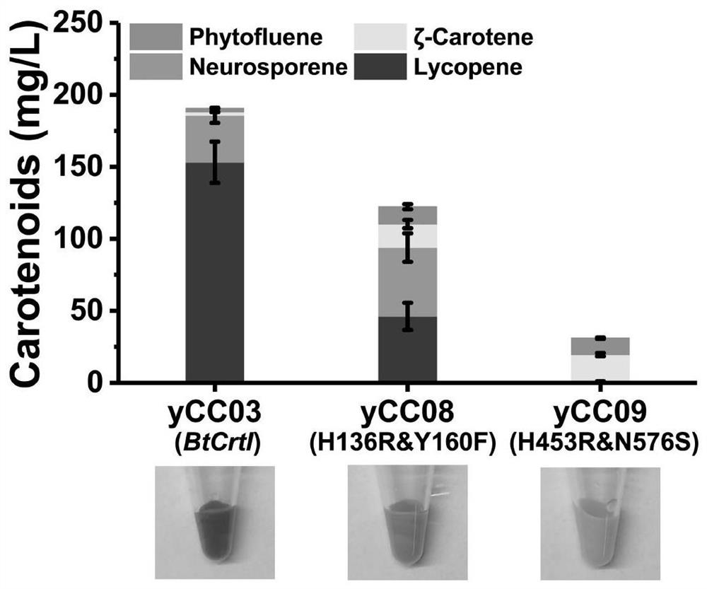 Octahydrolycopene dehydrogenase mutant and application thereof