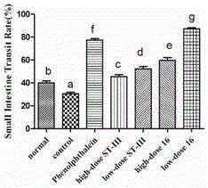 Bifidobacterium bifidum and application thereof