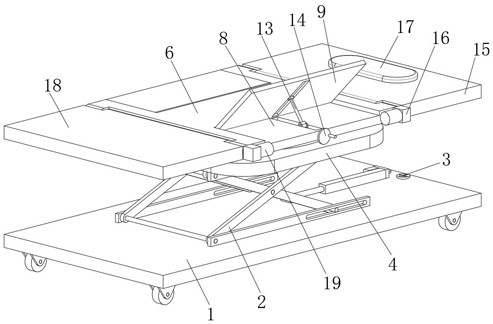 Patient limb adjusting device for examination in ultrasonic department