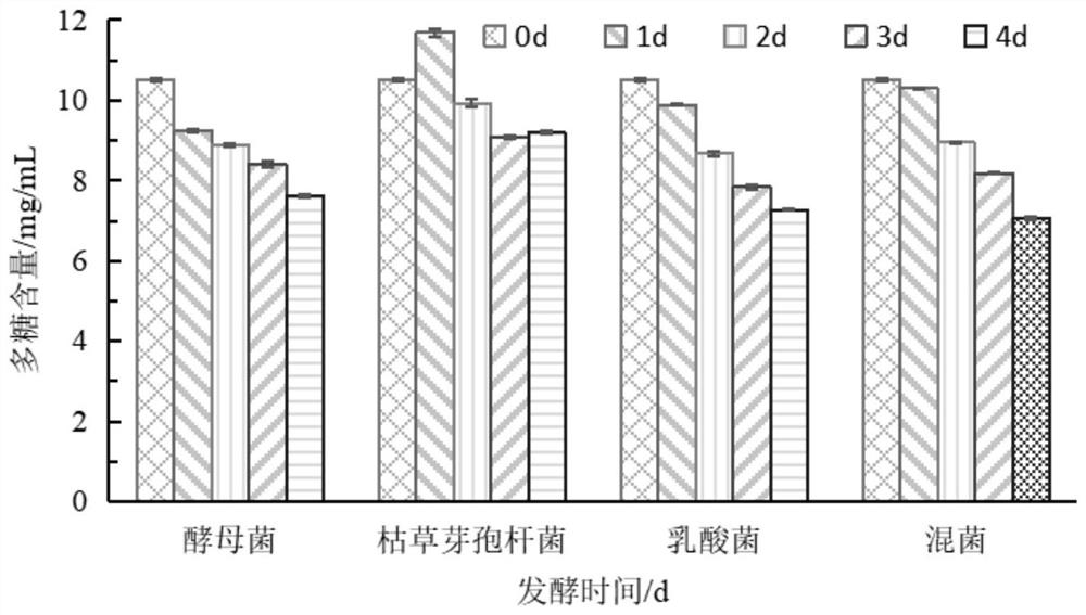 Dendrobium officinale fermented extract, skin care product and preparation method thereof