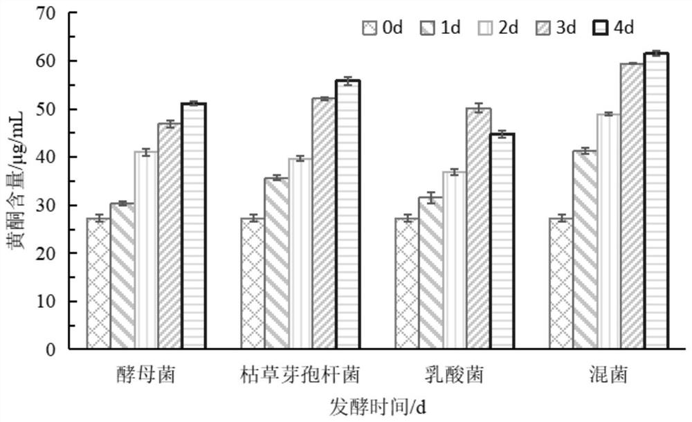 Dendrobium officinale fermented extract, skin care product and preparation method thereof