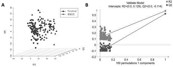 Diagnosis marker suitable for early-stage esophageal squamous cell cancer diagnosis and screening method of diagnosis marker