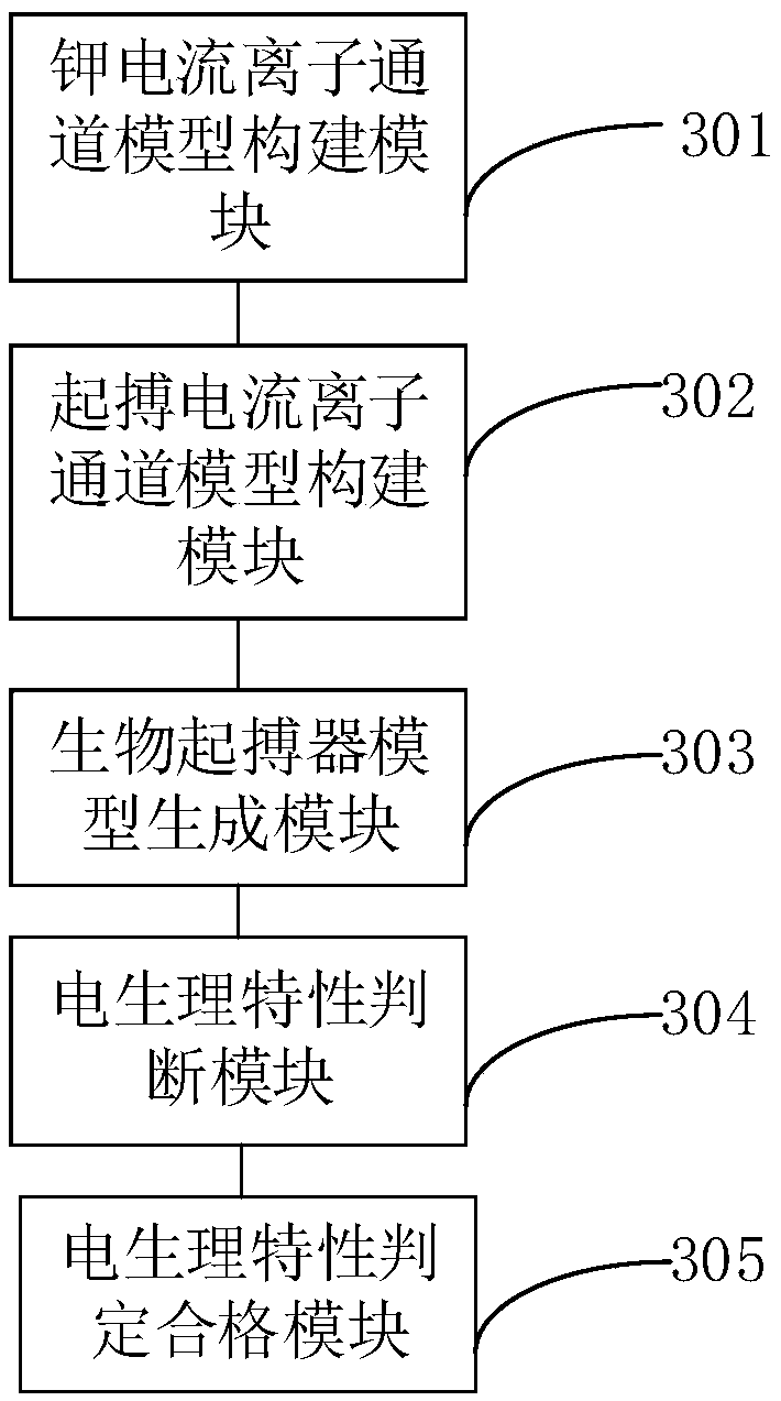 Biological pacemaker model construction method and terminal device