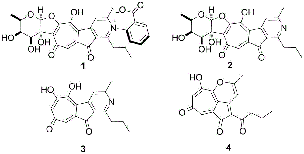 Biosynthetic gene cluster of Rubrolone and application of biosynthetic gene cluster