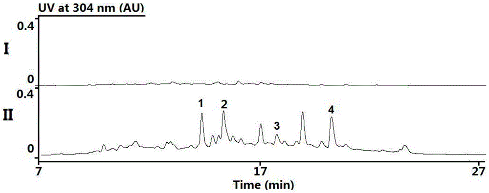 Biosynthetic gene cluster of Rubrolone and application of biosynthetic gene cluster