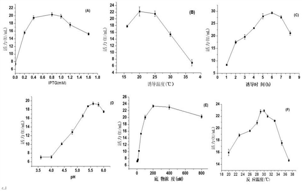 N-terminal truncated mutant enzyme of glucan sucrase and preparation method of N-terminal truncated mutant enzyme