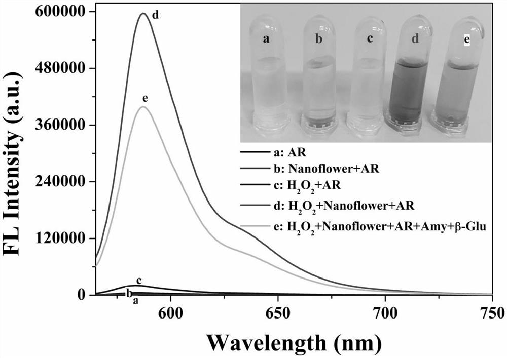 Label-free optical nano sensor for beta-glucosidase activity detection and application