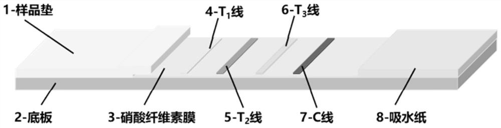 Near-infrared fluorescent microsphere immunochromatography test strip rapid detection method