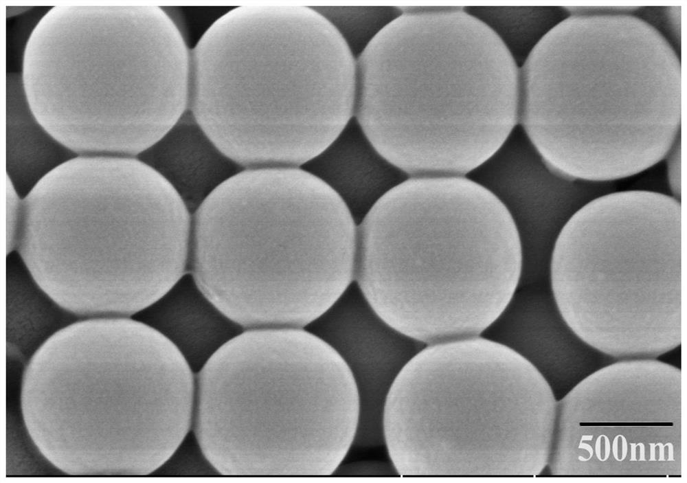 Near-infrared fluorescent microsphere immunochromatography test strip rapid detection method