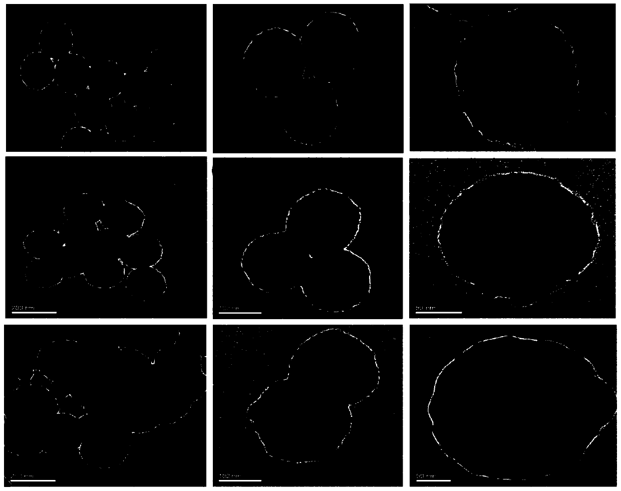 A magnetic mesoporous silica nanomaterial wrapped with polydopamine and its preparation and application