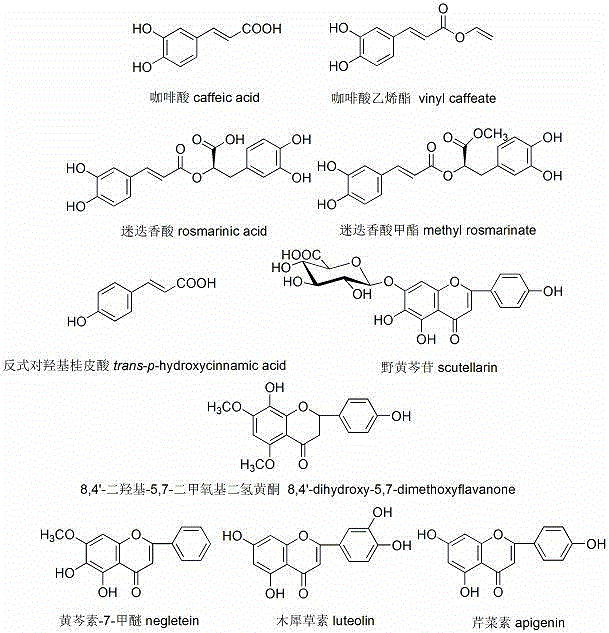 Effective part of perilla leaf resisting hyperuricemia and preparation method and application thereof