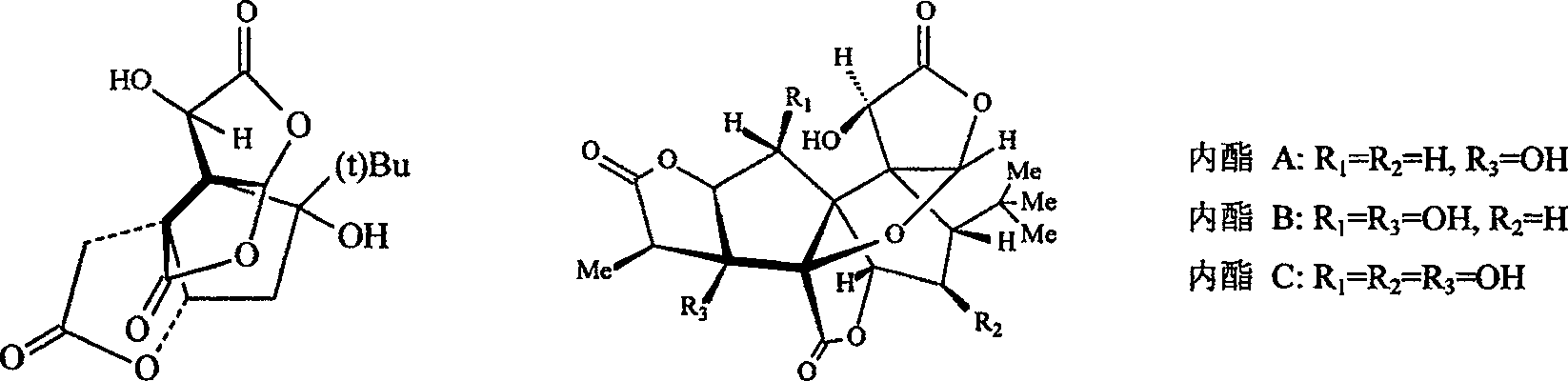 Synthesis for weak hydrophobic framework amide resin and application of the same in purifying gingko total lactone