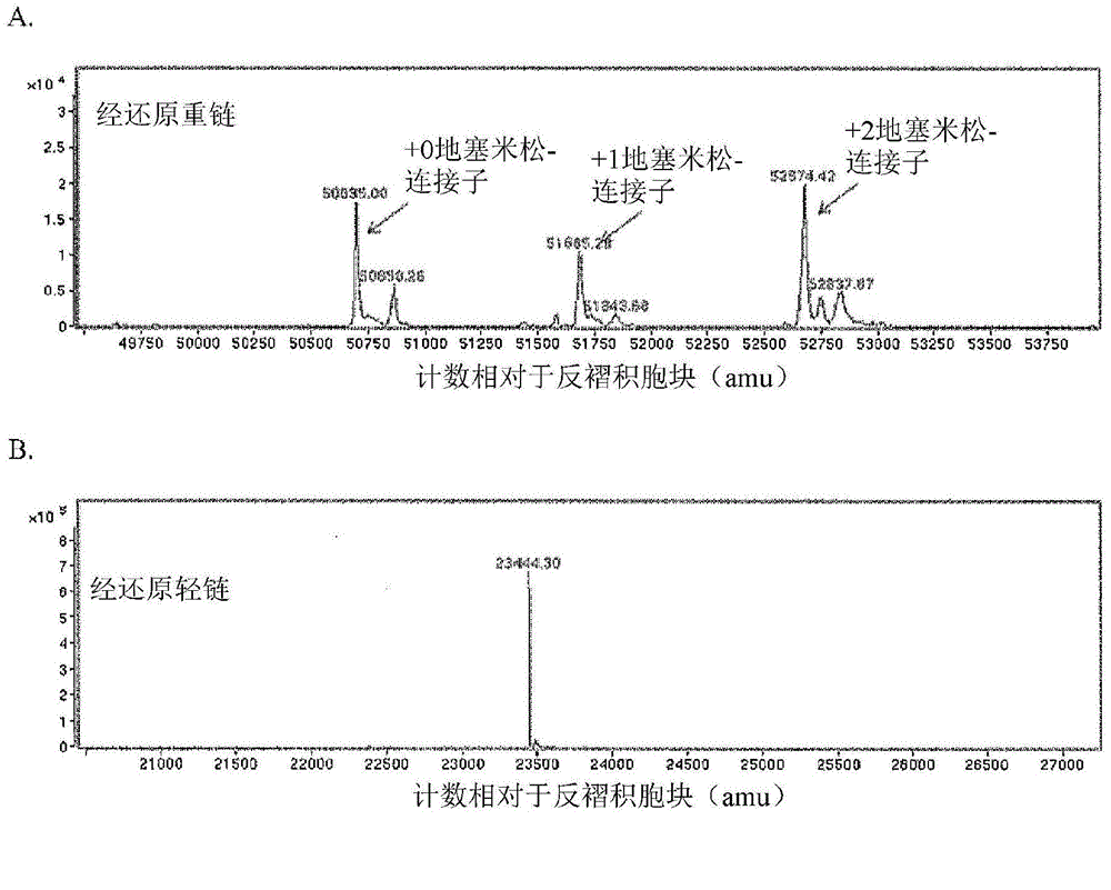 Anti-psma antibodies conjugated to nuclear receptor ligand polypeptides