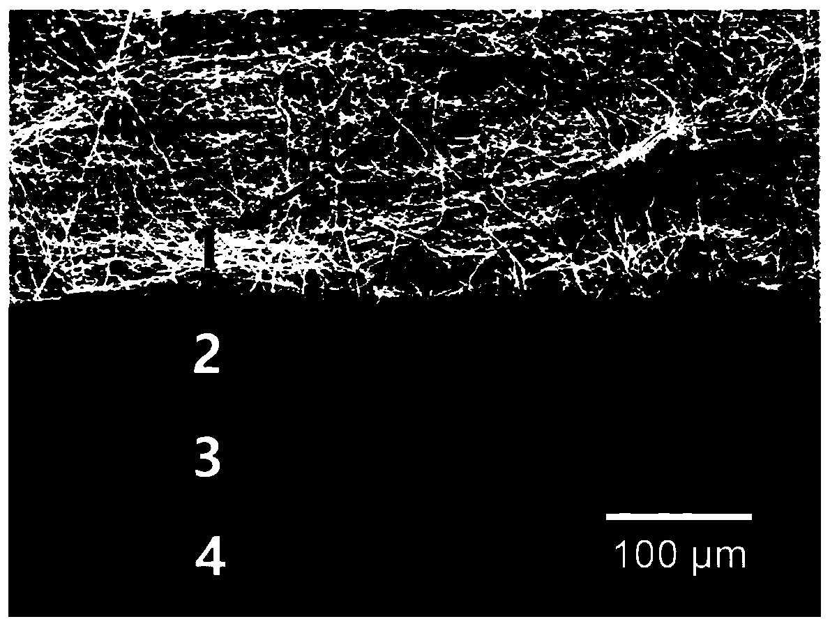 Oriented draining dressing with effect of keeping wound moderate wetting and preparation method thereof