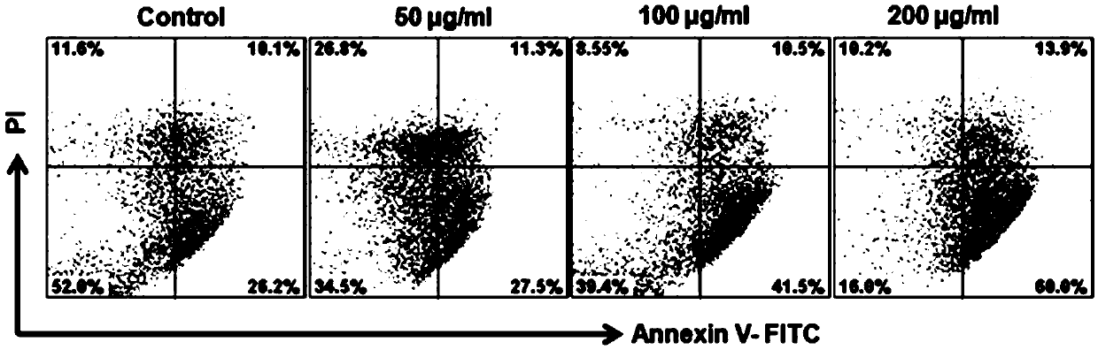 3,3'-(3,5-difluorobenzylidene)-bis-4-hydroxycoumarin and application thereof