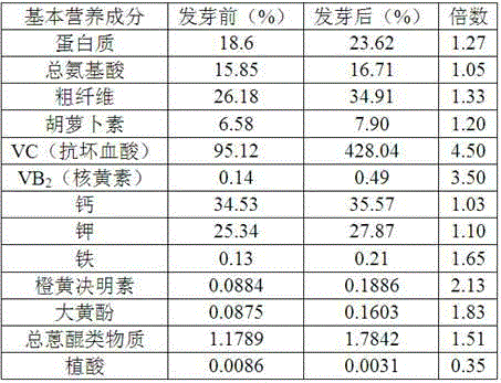 Semen cassiae alcohol-free beer-style beverage and preparation method thereof